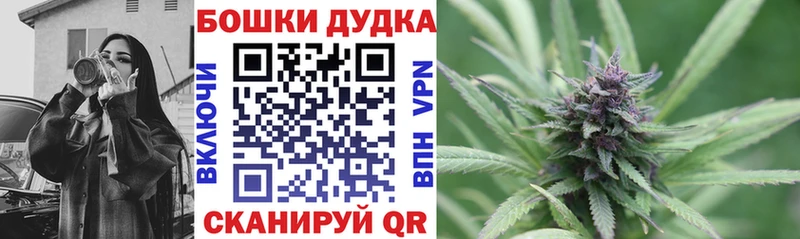 закладки  Костерёво  Марихуана конопля 